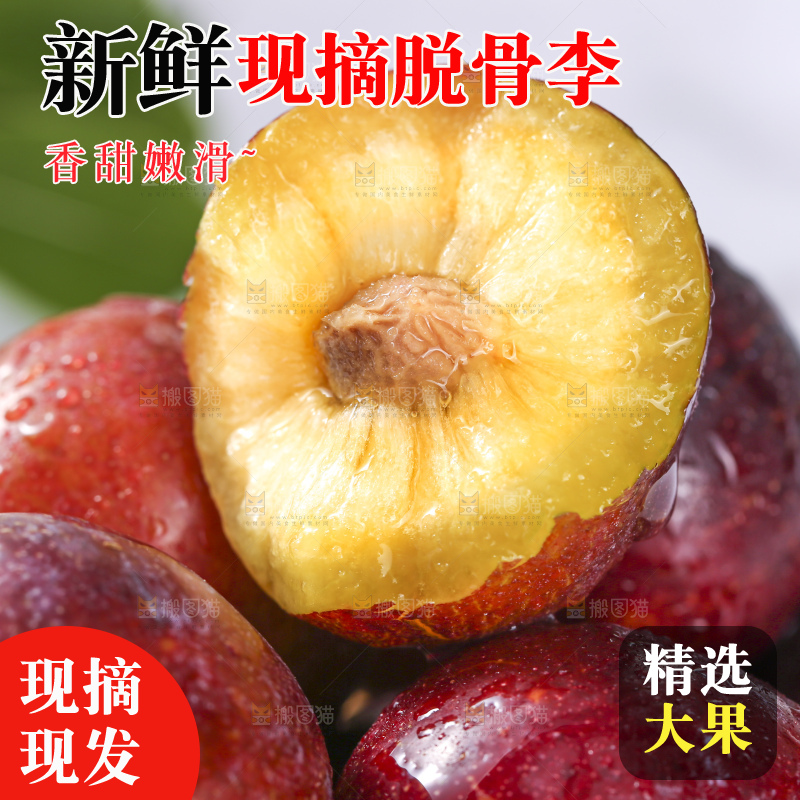 浅底上的脆红李