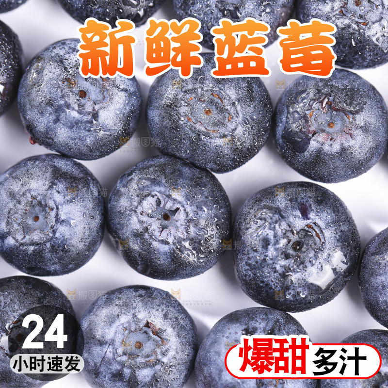 白底上放着的新鲜蓝莓