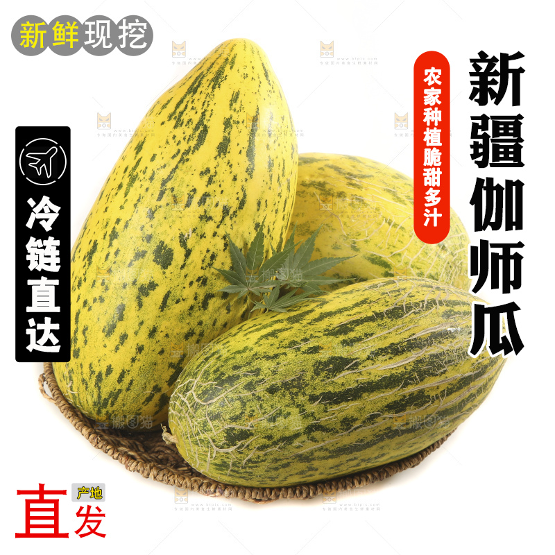白底上放着新疆伽师瓜