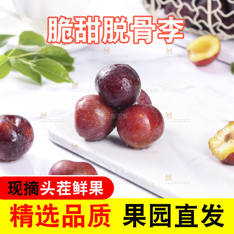 浅底上的脆红李