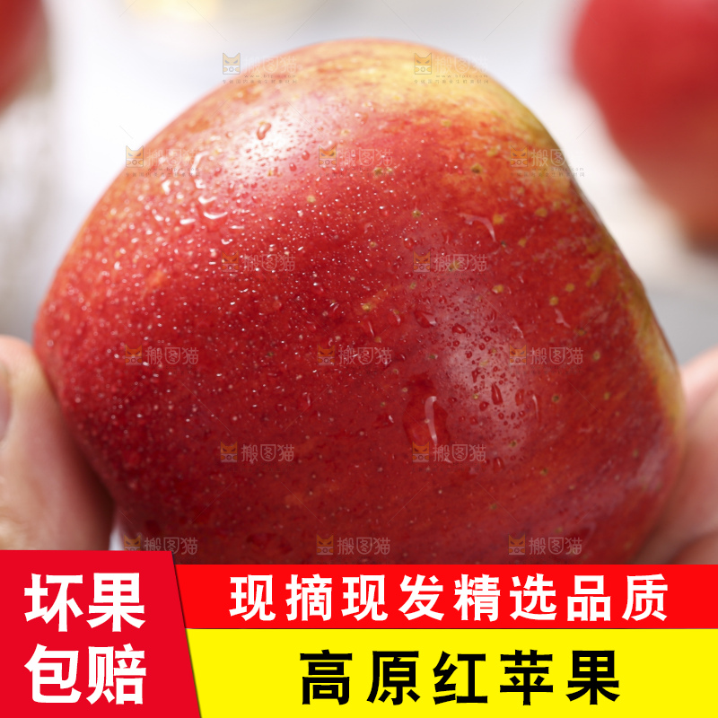 浅底上的高原红苹果