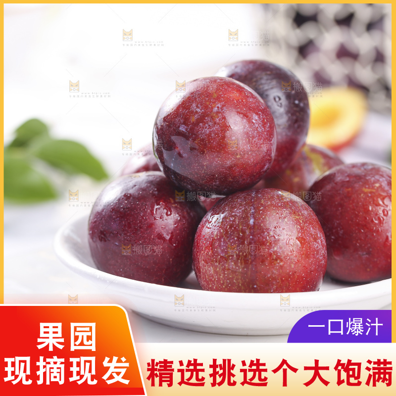 浅底上的脆红李