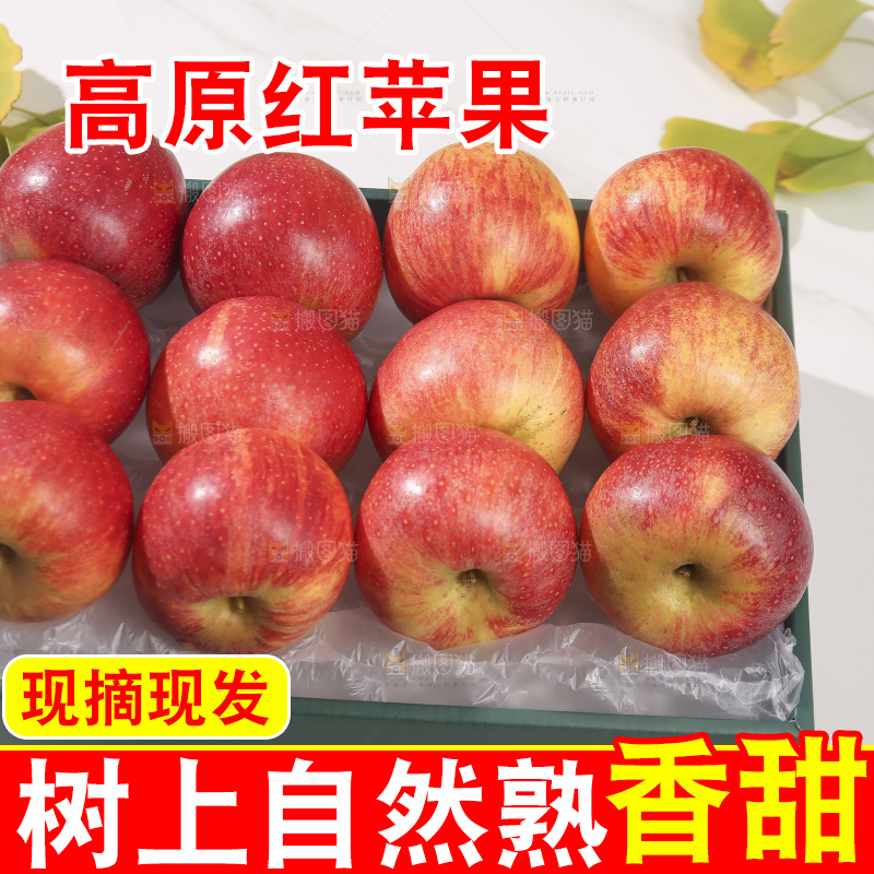 浅底上的高原红苹果