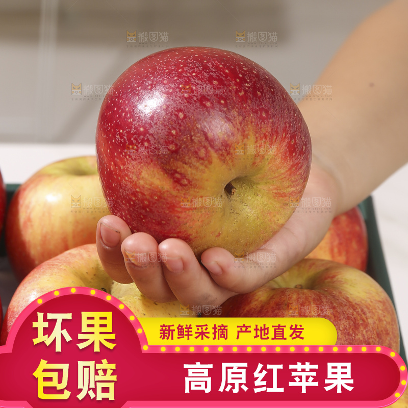浅底上的高原红苹果