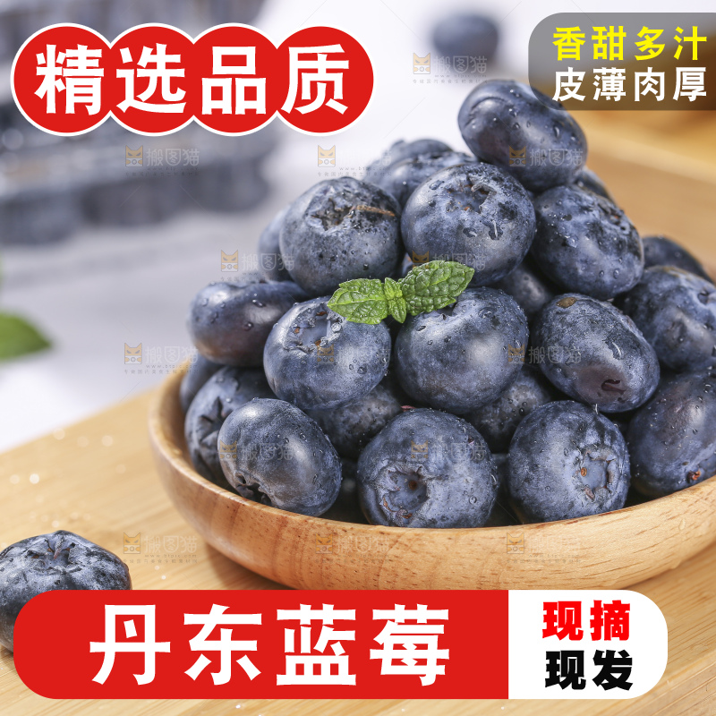 浅底上的新鲜蓝莓