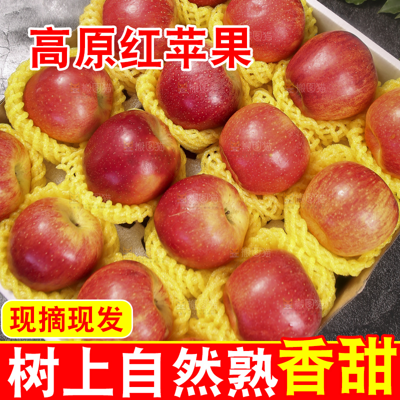 深底上的高原红苹果