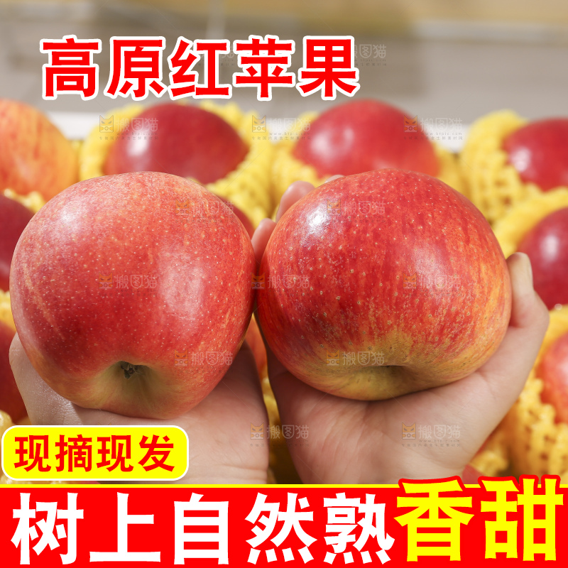 浅底上的高原红苹果
