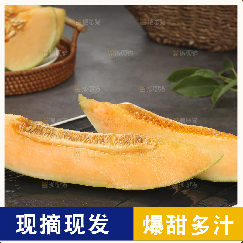 深底上的新疆伽师瓜