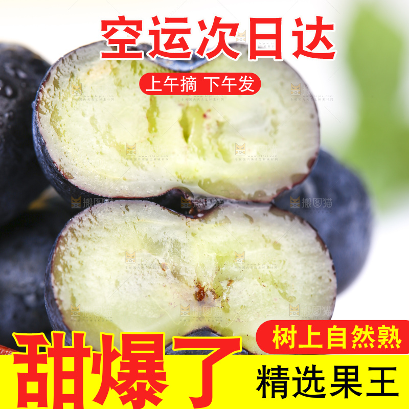 浅底上的新鲜蓝莓