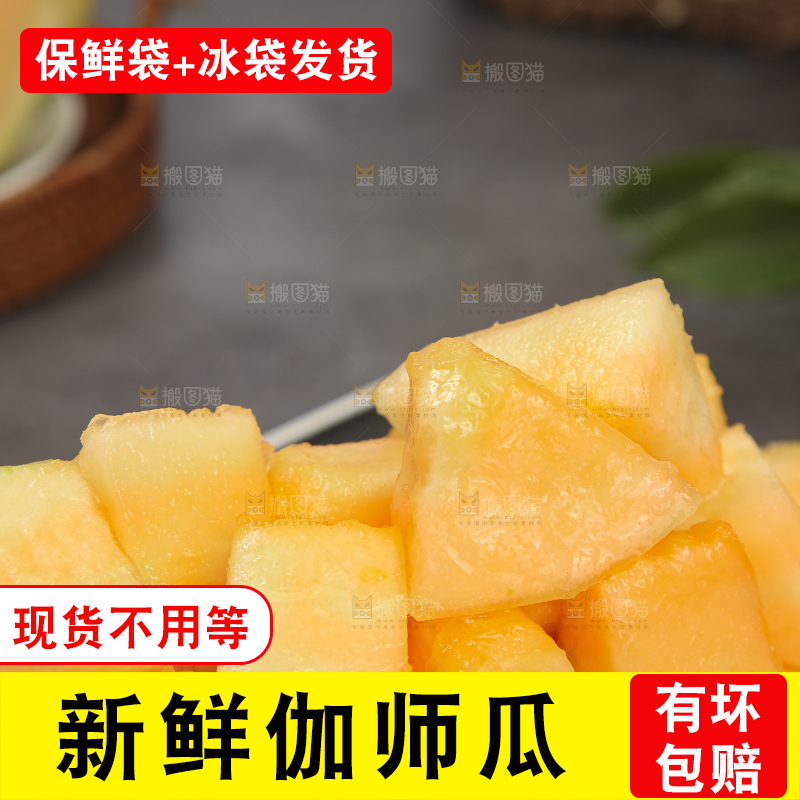 深底上的新疆伽师瓜