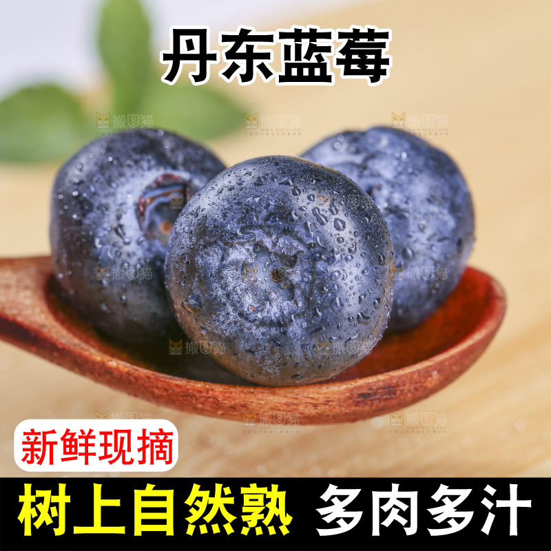 浅底上的新鲜蓝莓