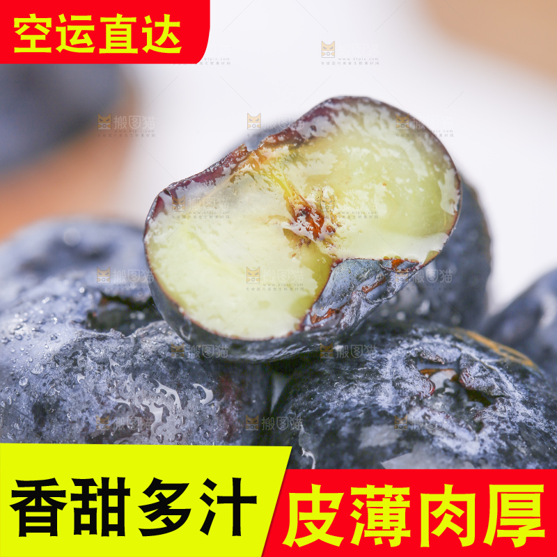 浅底上的新鲜蓝莓
