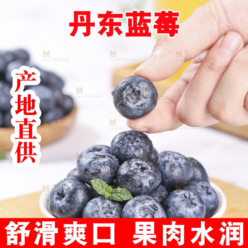 浅底上的新鲜蓝莓