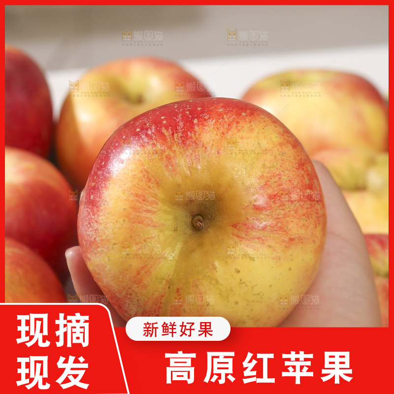 浅底上的高原红苹果
