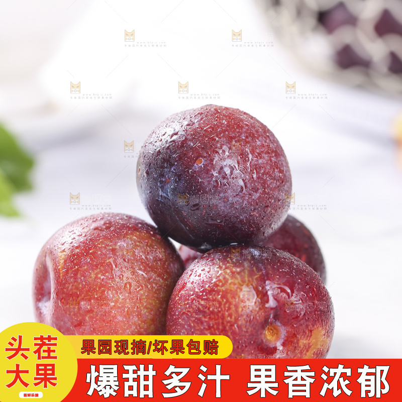 浅底上的脆红李