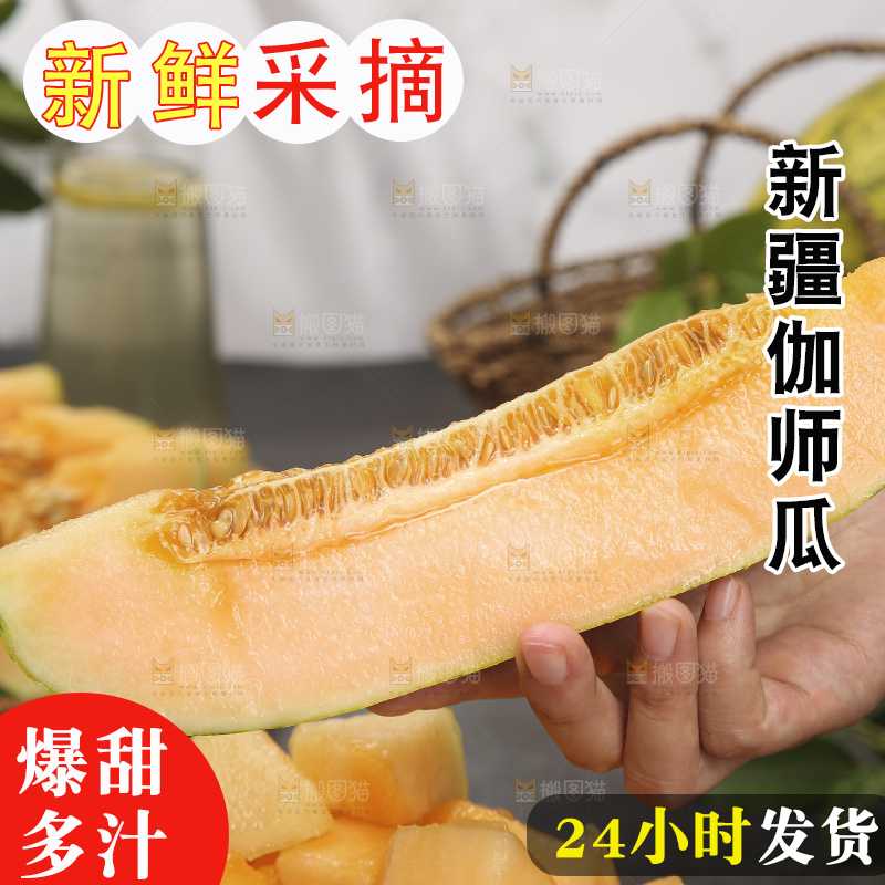 深底上的新疆伽师瓜