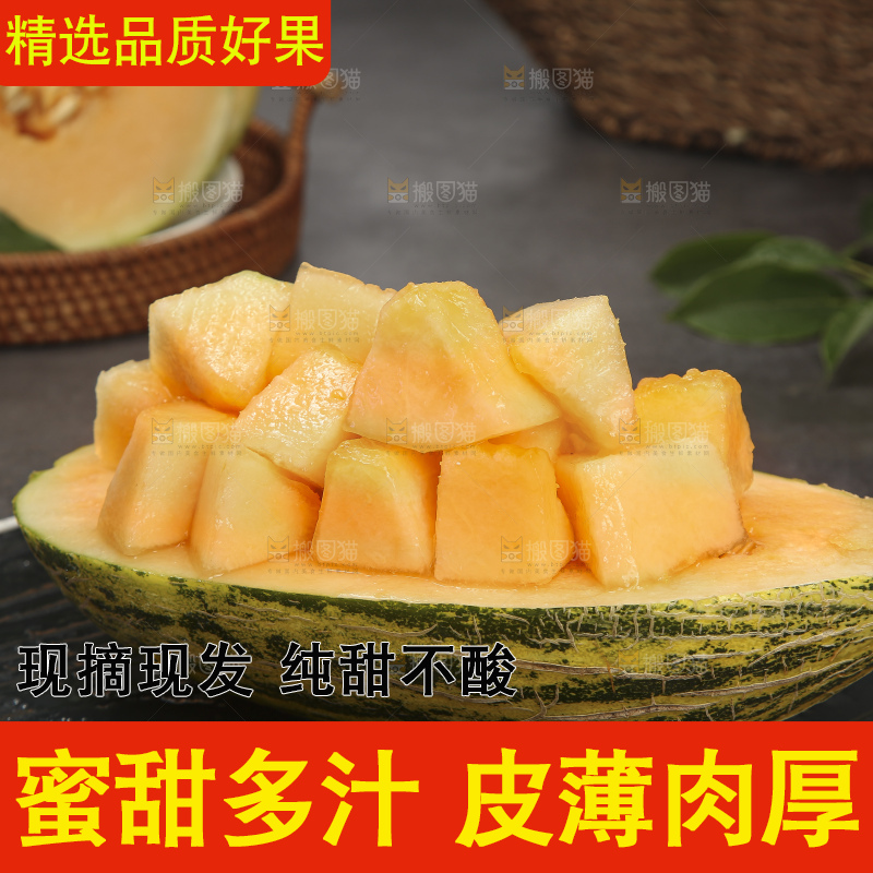 深底上的新疆伽师瓜