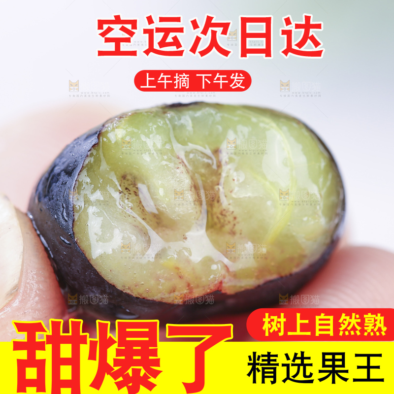 浅底上的新鲜蓝莓