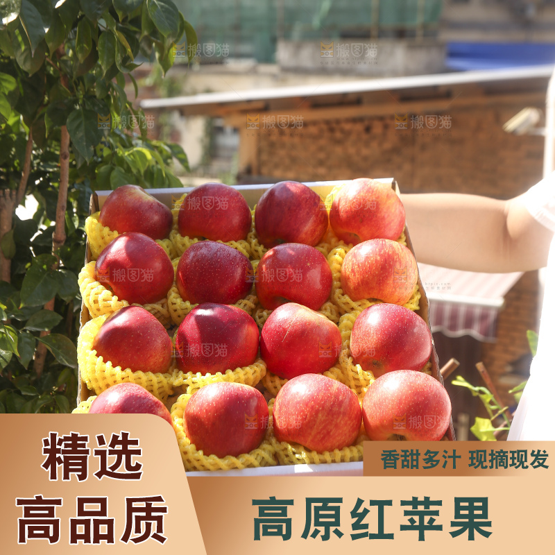 深底上的高原红苹果