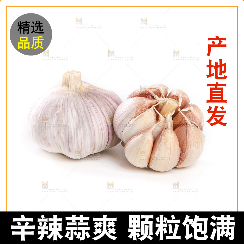 白底上的干蒜