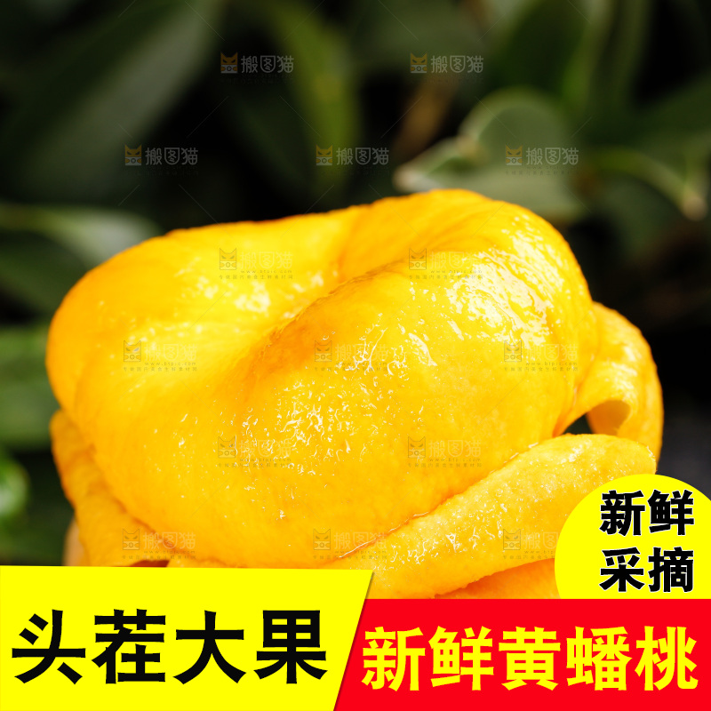 深底上的黄毛蟠桃