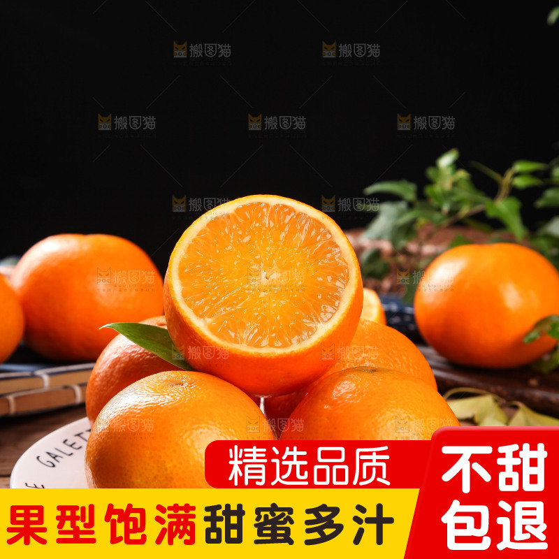 深木底上的爱媛38号