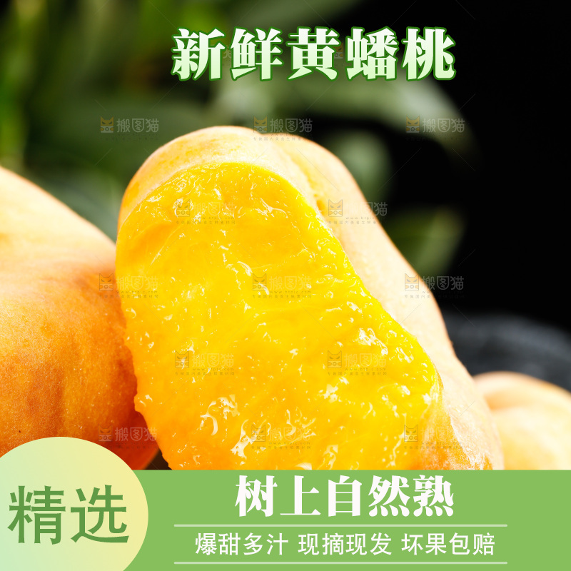 深底上的黄毛蟠桃