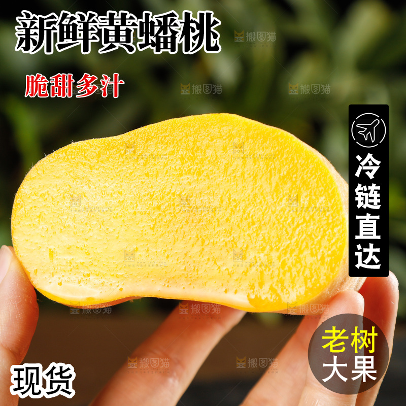 深底上的黄毛蟠桃
