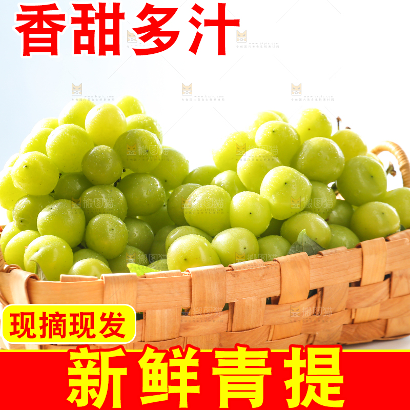 浅底上的晴王香印青提