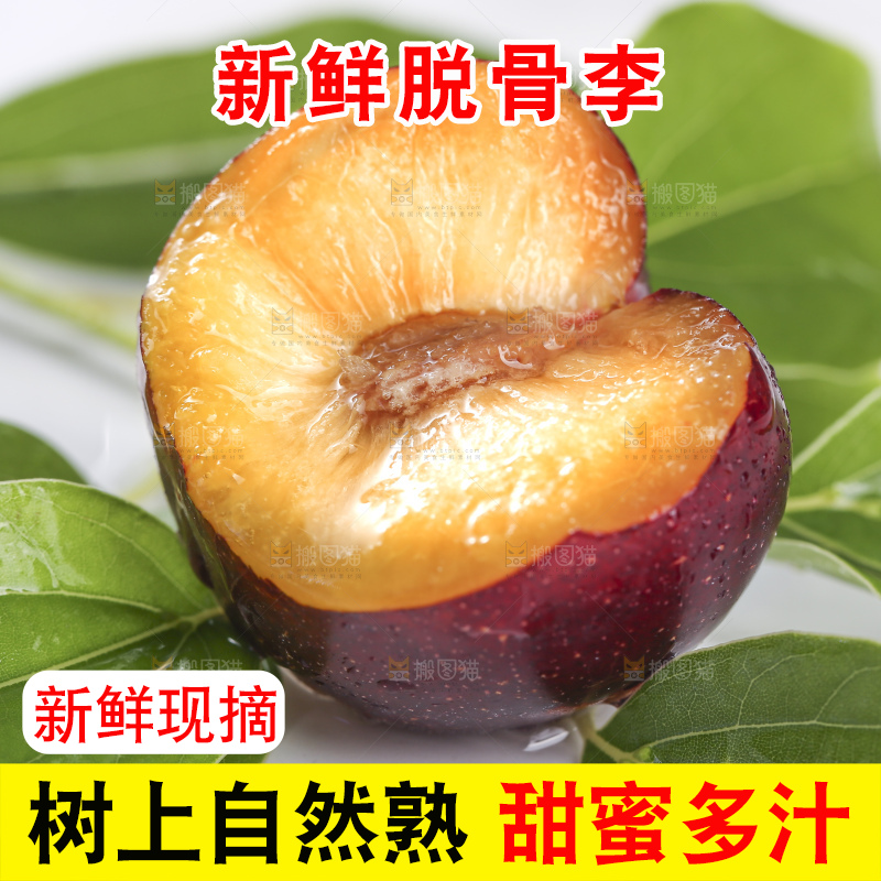 浅底上的脆红李