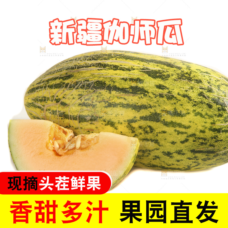 白底上放着新疆伽师瓜