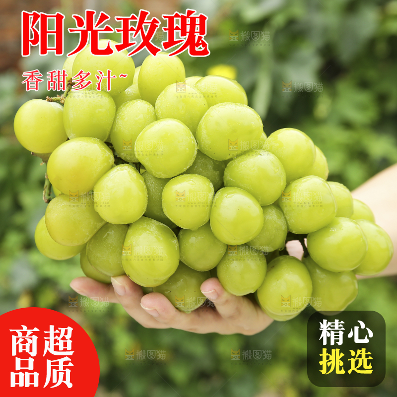 手里拿着阳光玫瑰