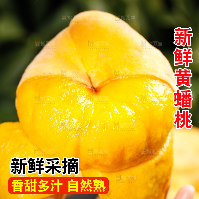 深底上的黄毛蟠桃
