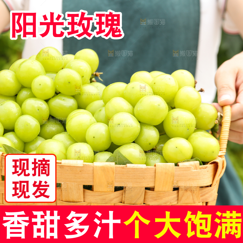 手里拿着阳光玫瑰