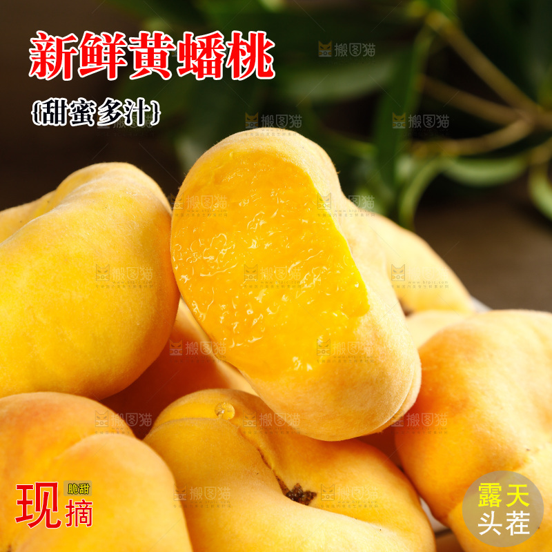 深底上的黄毛蟠桃