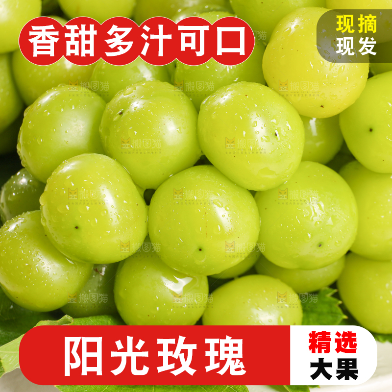 浅底上的晴王香印青提