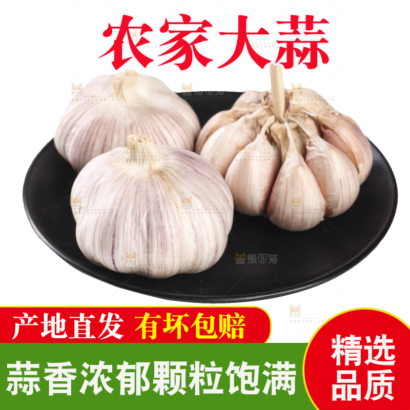 白底上的干蒜
