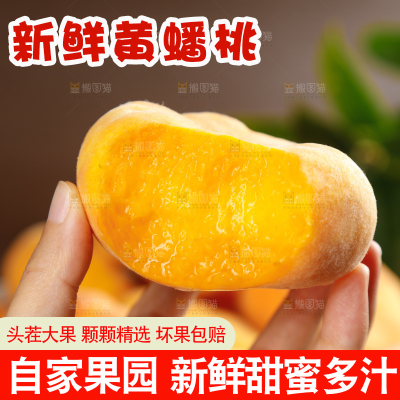深底上的黄毛蟠桃