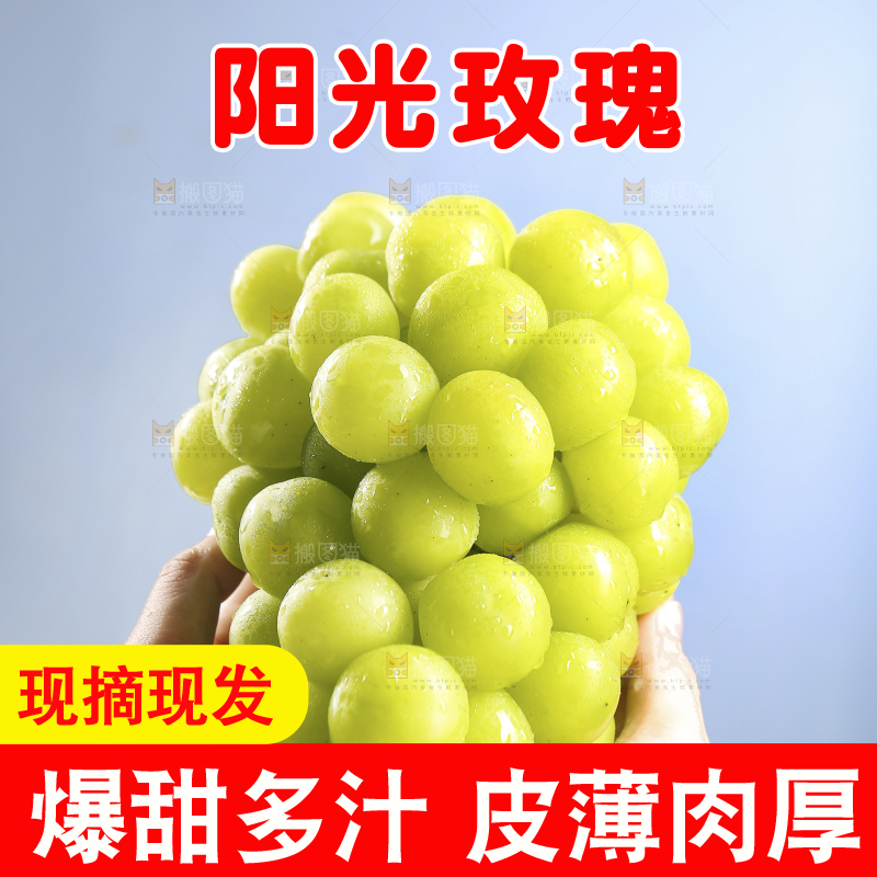 手里拿着阳光玫瑰