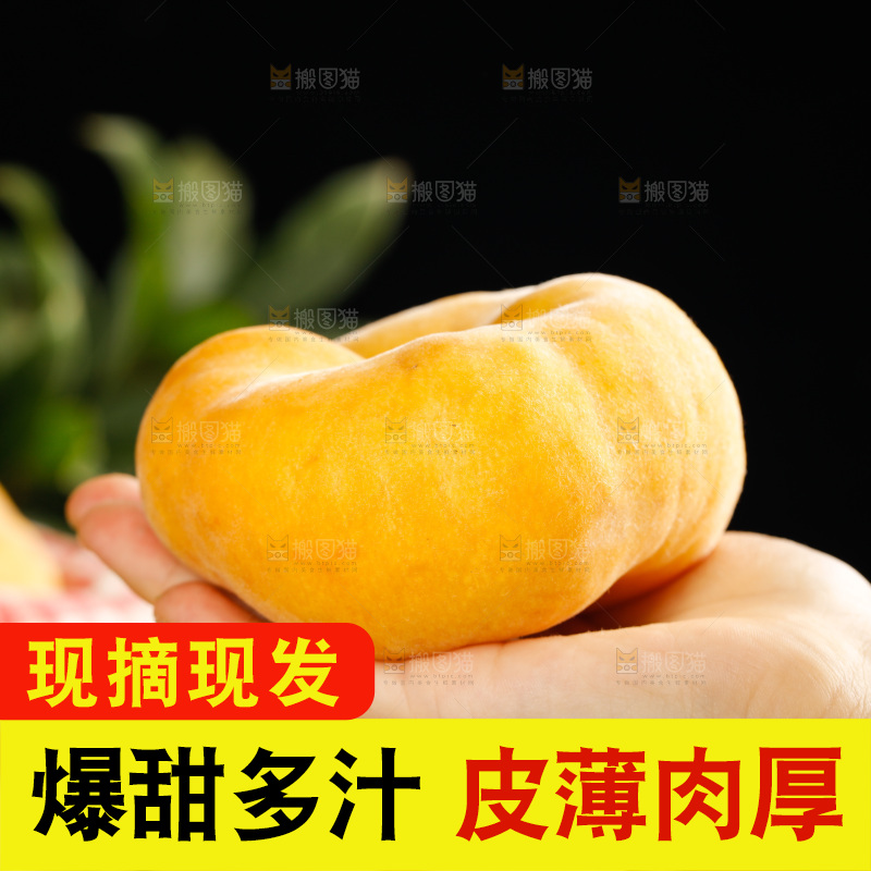 深底上的黄毛蟠桃