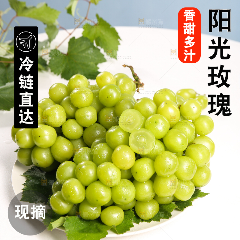 浅底上的晴王香印青提