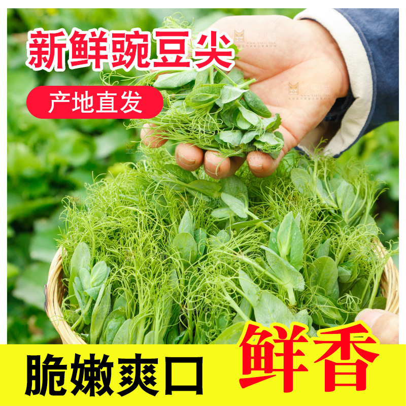 手里拿着豌豆苗