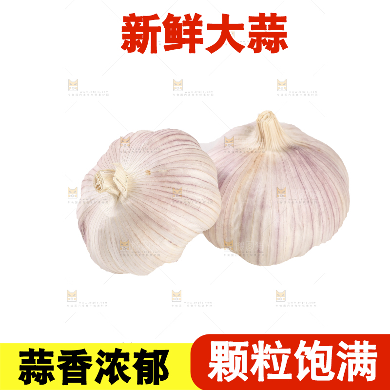 白底上的干蒜