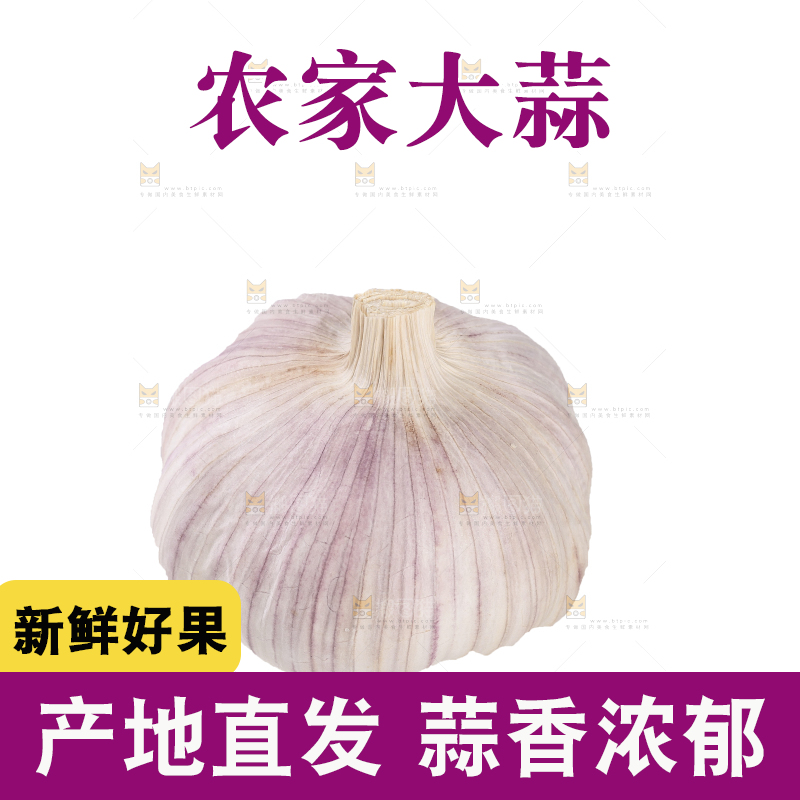 白底上的干蒜