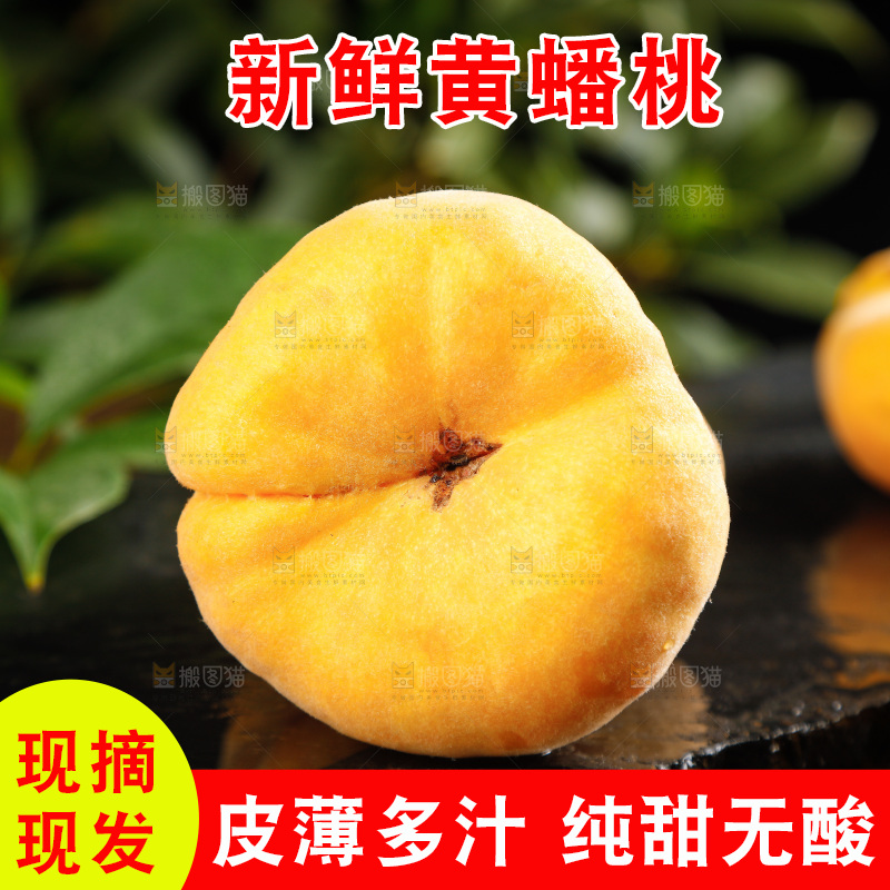 深底上的黄毛蟠桃