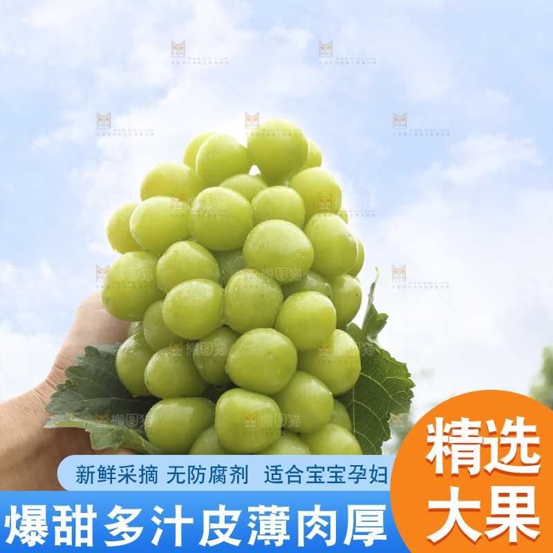手里拿着阳光玫瑰