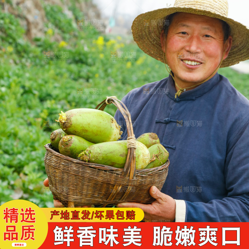 手里拿着水果萝卜