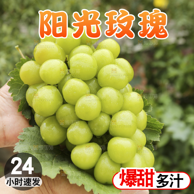 手里拿着阳光玫瑰