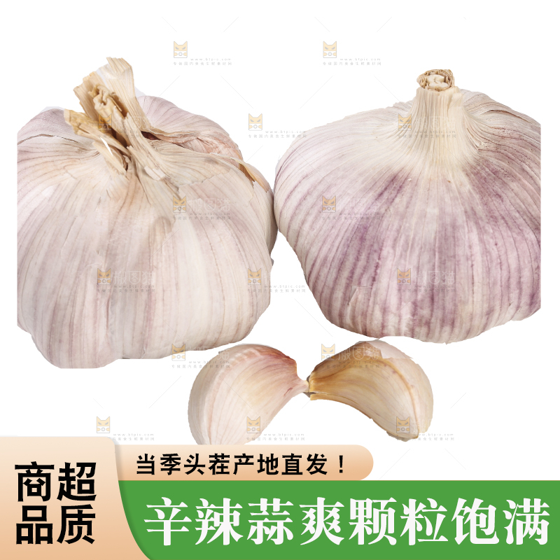 白底上的干蒜