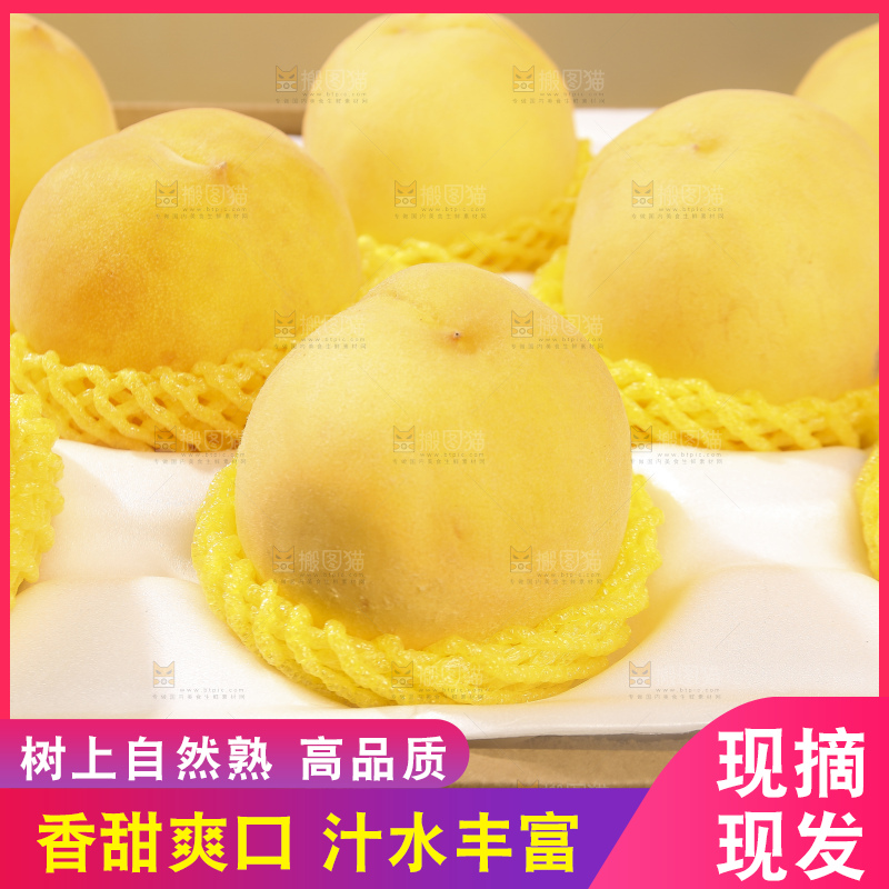 浅底上摆放着的锦绣黄桃